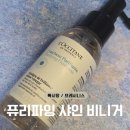 살롱 샤인 | [두피건조 케어 추천] 록시땅 샤인 비니거 내돈내산 후기 | 쿨링감 좋은 두피 리프레시템