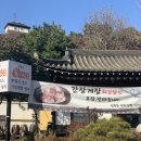 국화정원 이미지