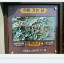 왕릉길 Daum카페