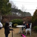 덕산펜션 이미지