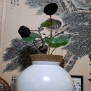 청운다실 이미지