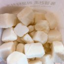 건강한펫 이미지