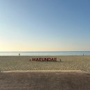 호텔문 | [해운대 호텔 후기] 부산 해운대 호텔 '소노문' 후기 조식 라운지