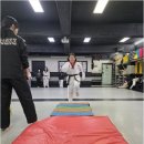 국예태권도장 | 아이들이 즐겁고 건강하게! 유치부 태권도 교육의 모든 것