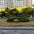 신당인덕1로-15 Daum카페