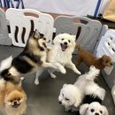 서촌동 댕번지 이미지