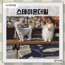 스테이온더힐 이미지