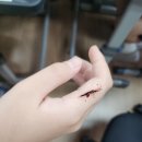경포초등학교 이미지