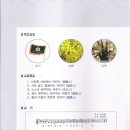 태장초교 이미지