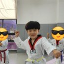 유로태권도 이미지