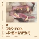 서교동물병원 이미지