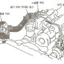 강과장