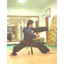 국술원도장 이미지