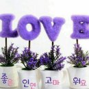 종암39 이미지