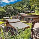 치유의숲 이미지