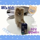 구지 봄약국 | [페노비스] 강아지 장건강, 피부건강영양제 - 벳 강아지 유산균 후기 / 강아지 유산균 추천