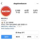 멍북