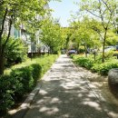 주공11단지아파트 이미지