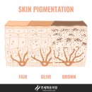 연세화온의원 이미지