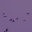 미투호텔 이미지