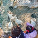 카페70도씨 이미지