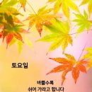 작은새이야기