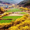 문화마을2길 이미지