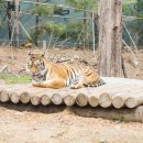 전주동물원 이미지