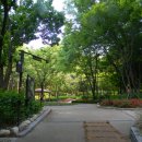 돌산공원 정상 이미지