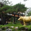 백운 목장 이미지