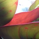 창가약국 이미지