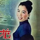 살아있는 가로수/이미자 1965년 이미지