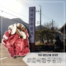 대식한우명가 | 내돈내산 합천 가성비 소고기 맛집 ‘대식한우명가‘ 후기