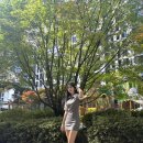 소울인미