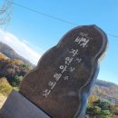 자연아래 버섯요리전문점 티스토리