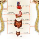 자율신경실조증 자율신경 실조증 원인 증상 치료방법 이미지