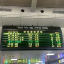 오송 달밤족발/성심당 딸기시루 후기/해리포터 레고 그리핀도르 기숙사 배너 76409 추천