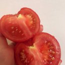 희원농원
