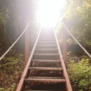 수락베이스캠프 이미지