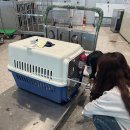 레인 켄넬 이미지