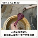 선덕사대적광전 | 서귀포힐링코스 추천 해보는 선덕사 / 특별했던 미디어아트 체험 후기