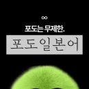 Pooh | 전화일본어 비교 랭디 포도일본어 체험후 결제 가격 내돈내산 [ 추천인코드 pooh0385 ]