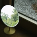 소요소림 이미지