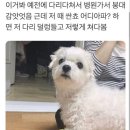 해연 이미지