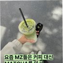 MZ커피 티스토리