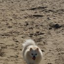 봉구냠냠 이미지