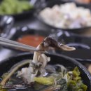 홍성농업협동조합주유소 이미지