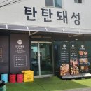 탄탄돼성 이미지
