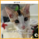 금척상리 이미지