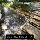 양영디지털고 앞 이미지